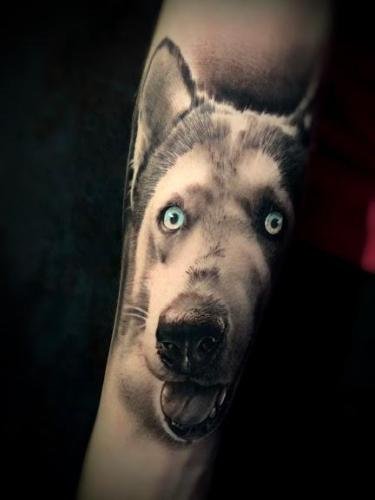 tatuaje realista  hasky ojos azules